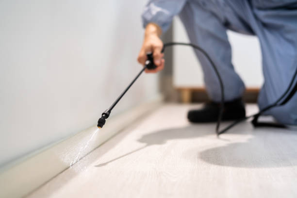 Bed Bug Pre-Treatment Preparation Assessment in Beacon