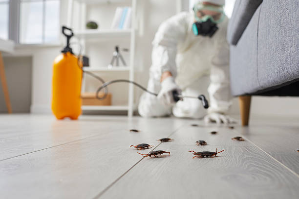 Post-Treatment Bed Bug Interceptor Monitoring in Beacon
