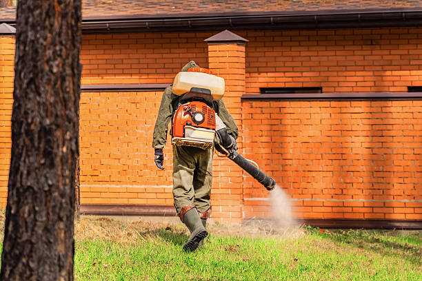 Bed Bug Clearance Verification and Documentation in Beacon